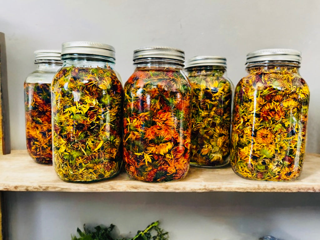 Calendula Salve